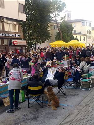 Bazar 6-14
